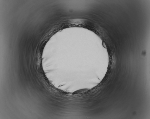 X0000115691394200912241452