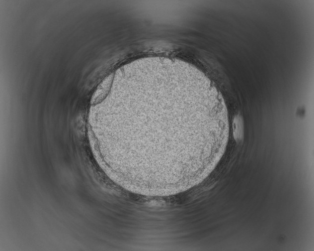 X0000115691395200912241452