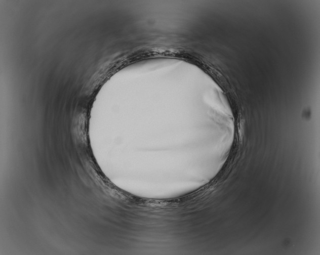 X0000115691396200912241452