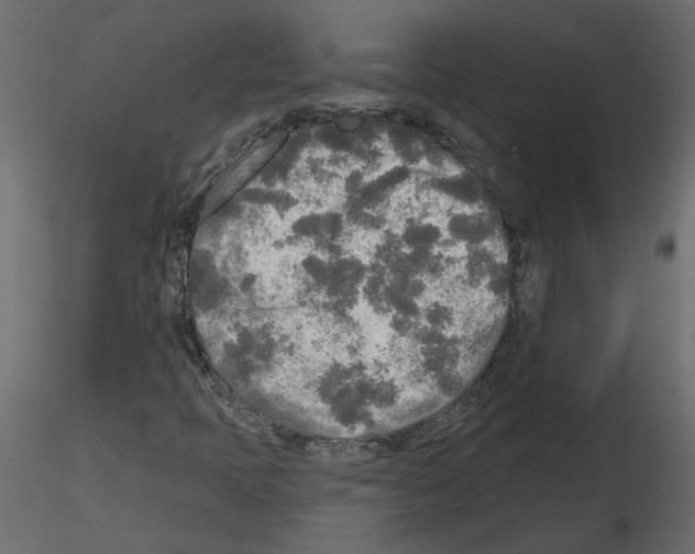 X0000115691397200912241452