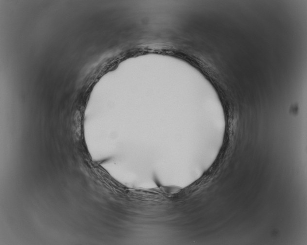 X0000115691398200912241452