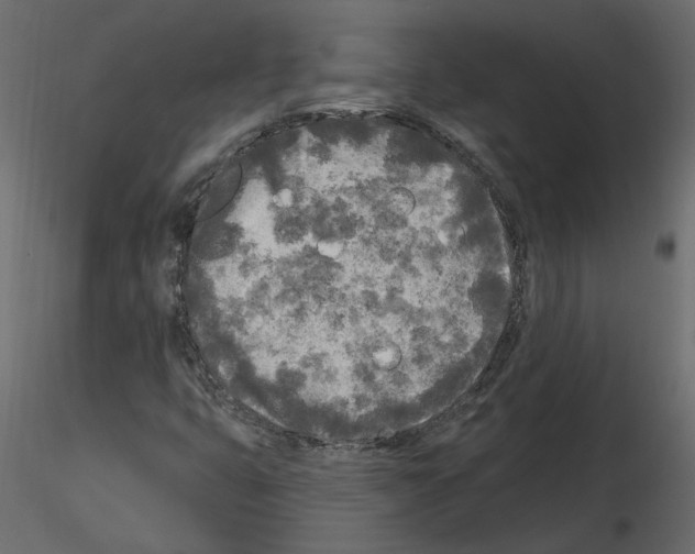 X0000115691399200912241452