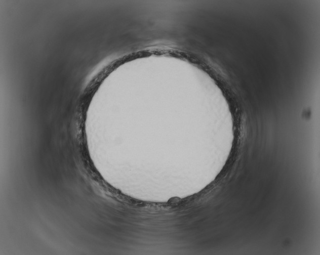 X0000115691400200912241452