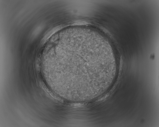 X0000115691401200912241452