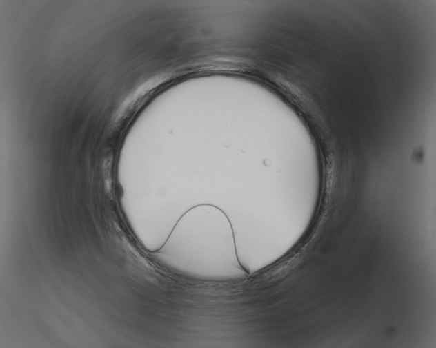 X0000115691402200912241452