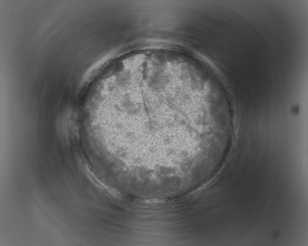 X0000115691403200912241452