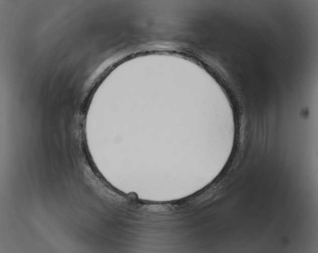 X0000115691404200912241452
