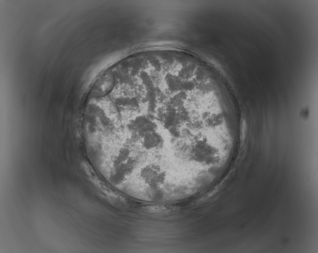 X0000115691405200912241452