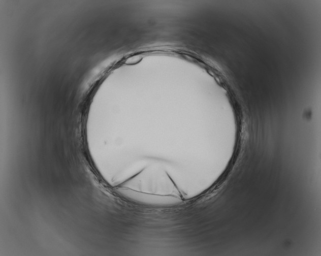 X0000115691406200912241452