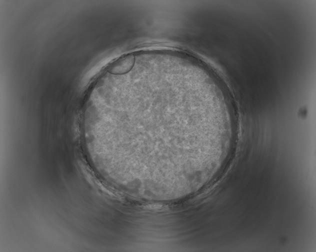 X0000115691407200912241452