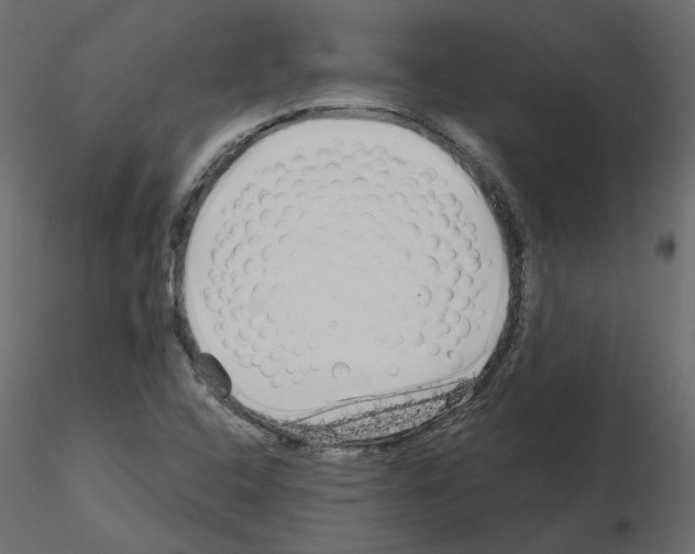 X0000115691408200912241452