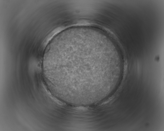 X0000115691409200912241452