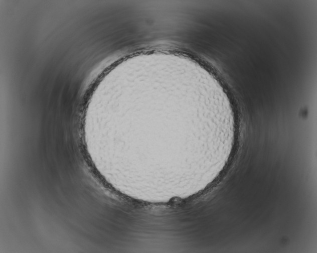 X0000115691410200912241452