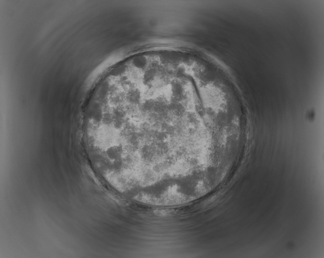 X0000115691411200912241452