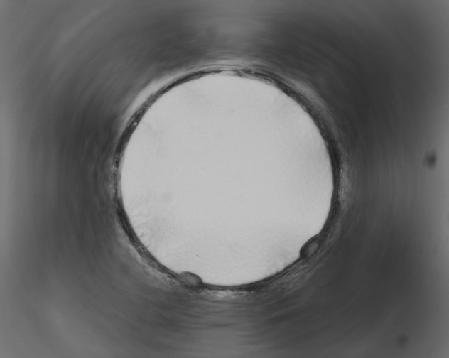 X0000115691412200912241452