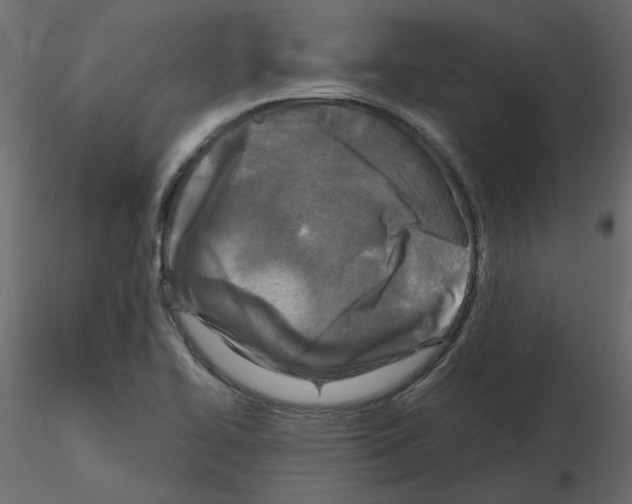 X0000115691414200912241452