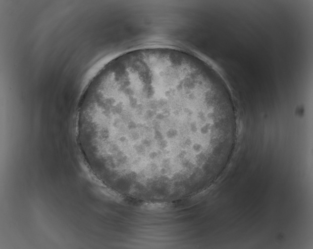 X0000115691415200912241452