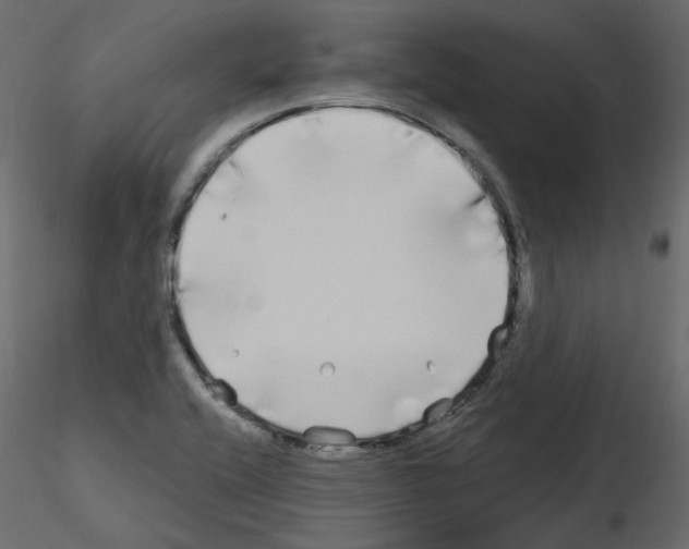 X0000115691416200912241452