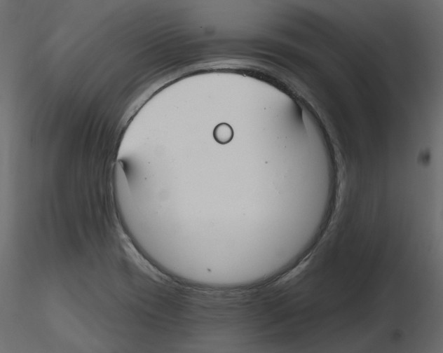 X0000115691417200912241452