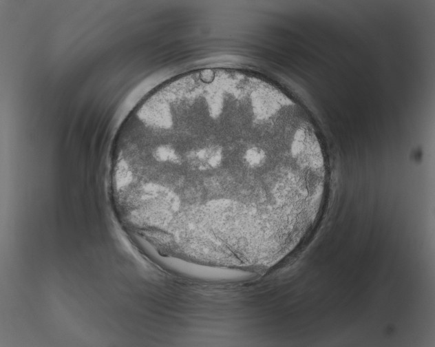 X0000115691418200912241452