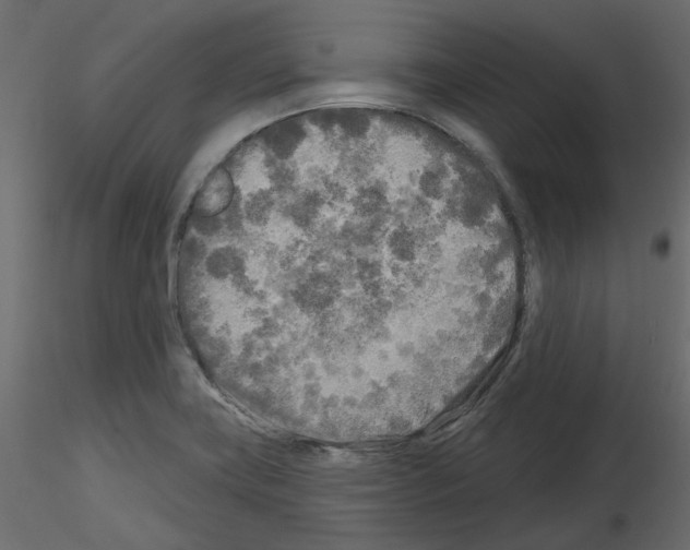 X0000115691419200912241452