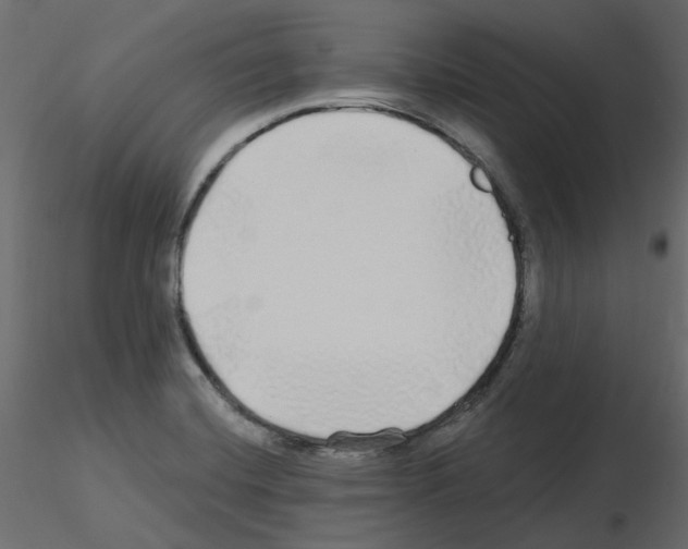 X0000115691420200912241452