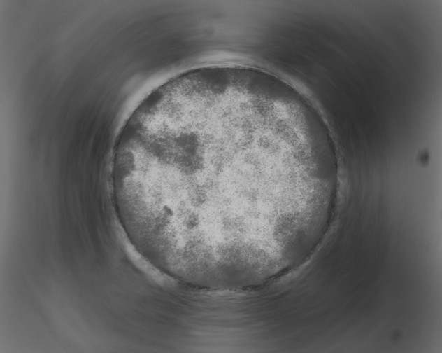 X0000115691421200912241452