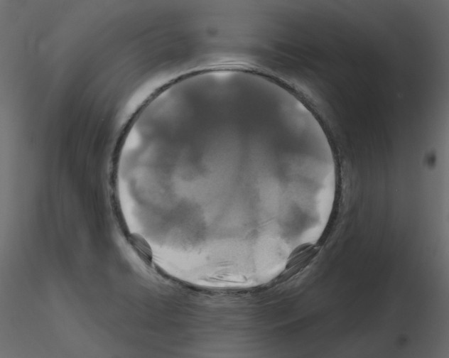 X0000115691422200912241452