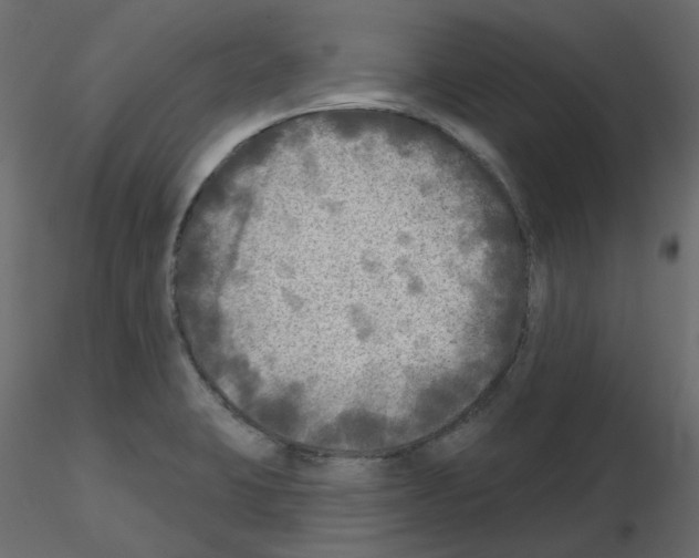 X0000115691423200912241452