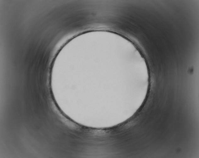 X0000115691424200912241452