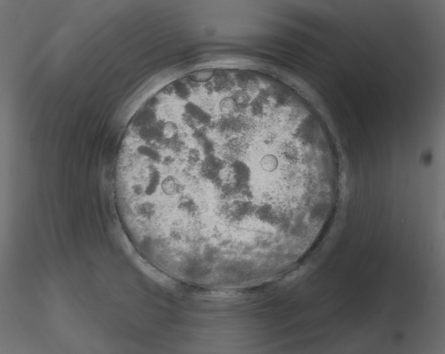 X0000115691425200912241452