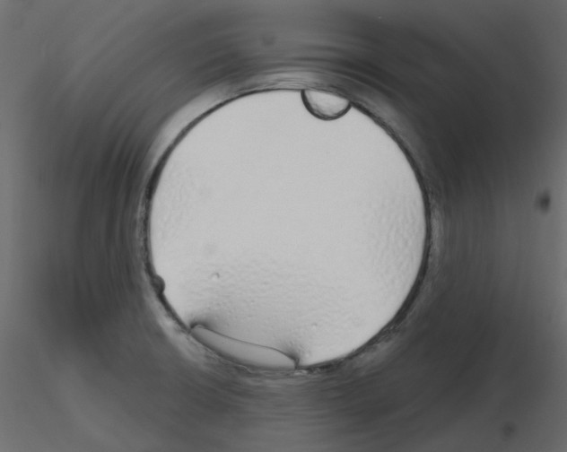 X0000115691426200912241452