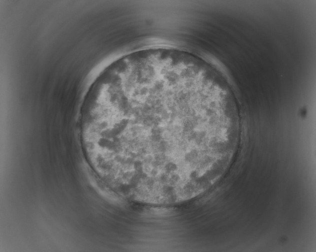 X0000115691427200912241452