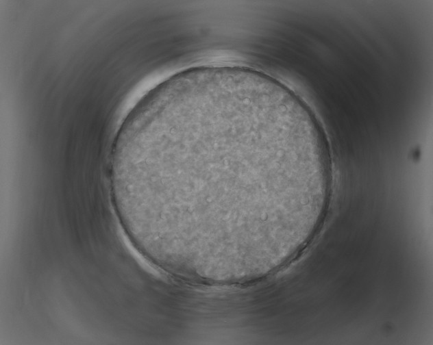 X0000115691429200912241452