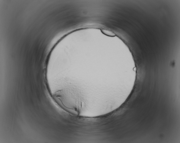 X0000115691430200912241452