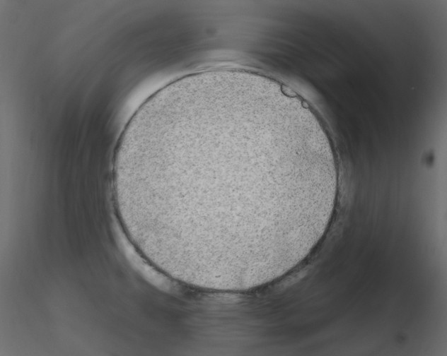 X0000115691431200912241452