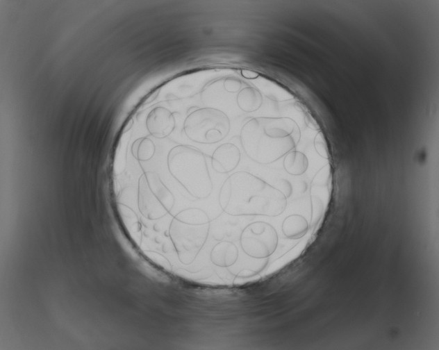 X0000115691432200912241452