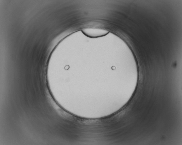 X0000115691434200912241452