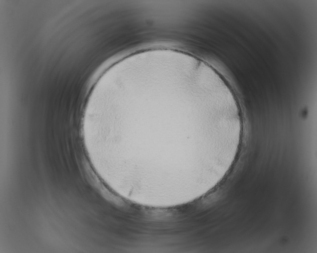 X0000115691436200912241452