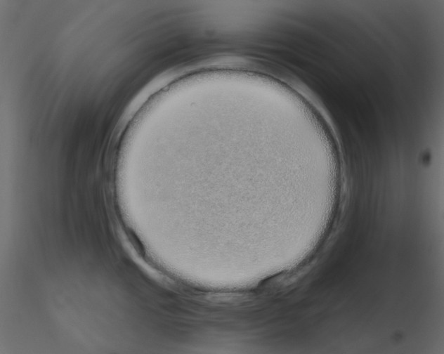 X0000115691437200912241452