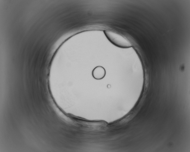 X0000115691438200912241452