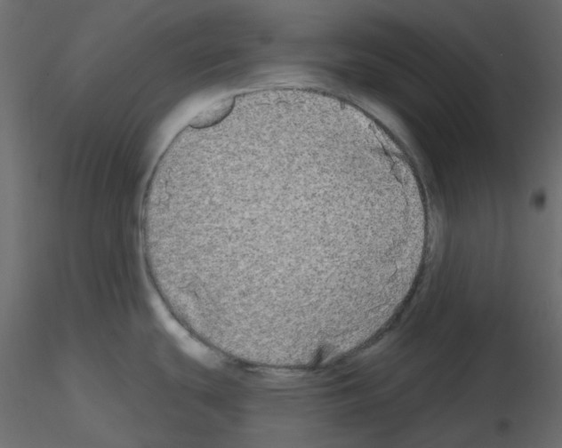 X0000115691439200912241452