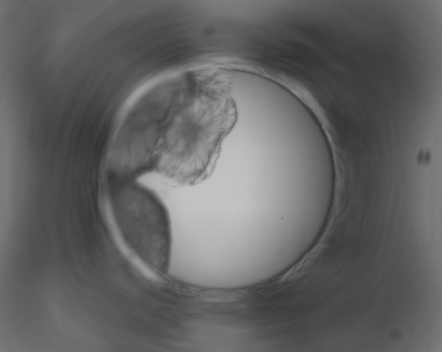 X0000115691440200912241452