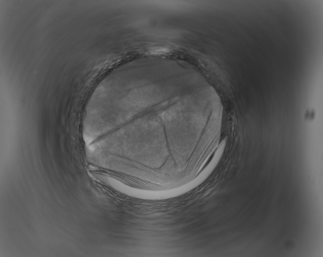 X0000115691441200912241452