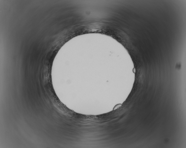 X0000115691442200912241451