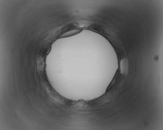 X0000115691443200912241451
