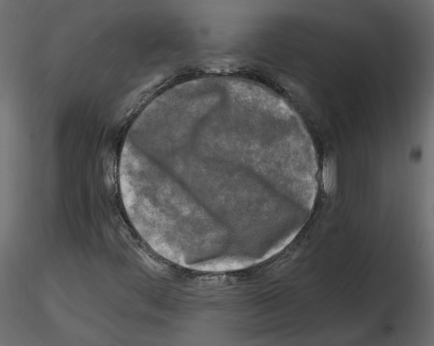 X0000115691444200912241451