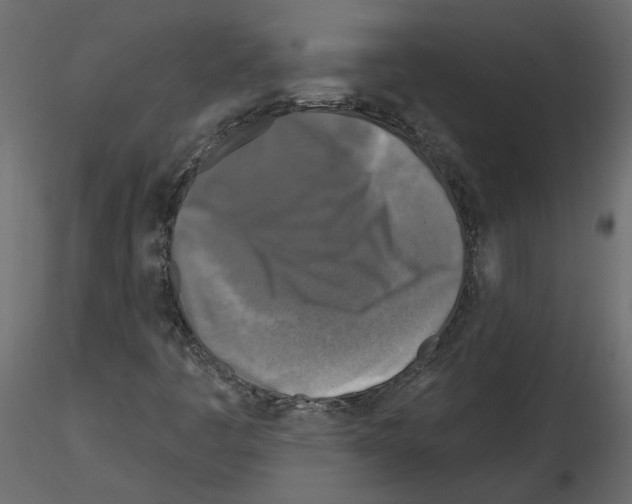 X0000115691445200912241451