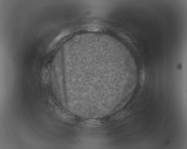 X0000115691446200912241451