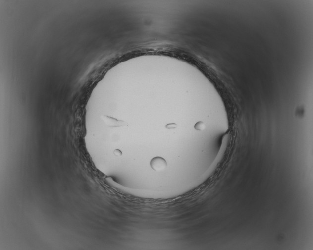 X0000115691447200912241451